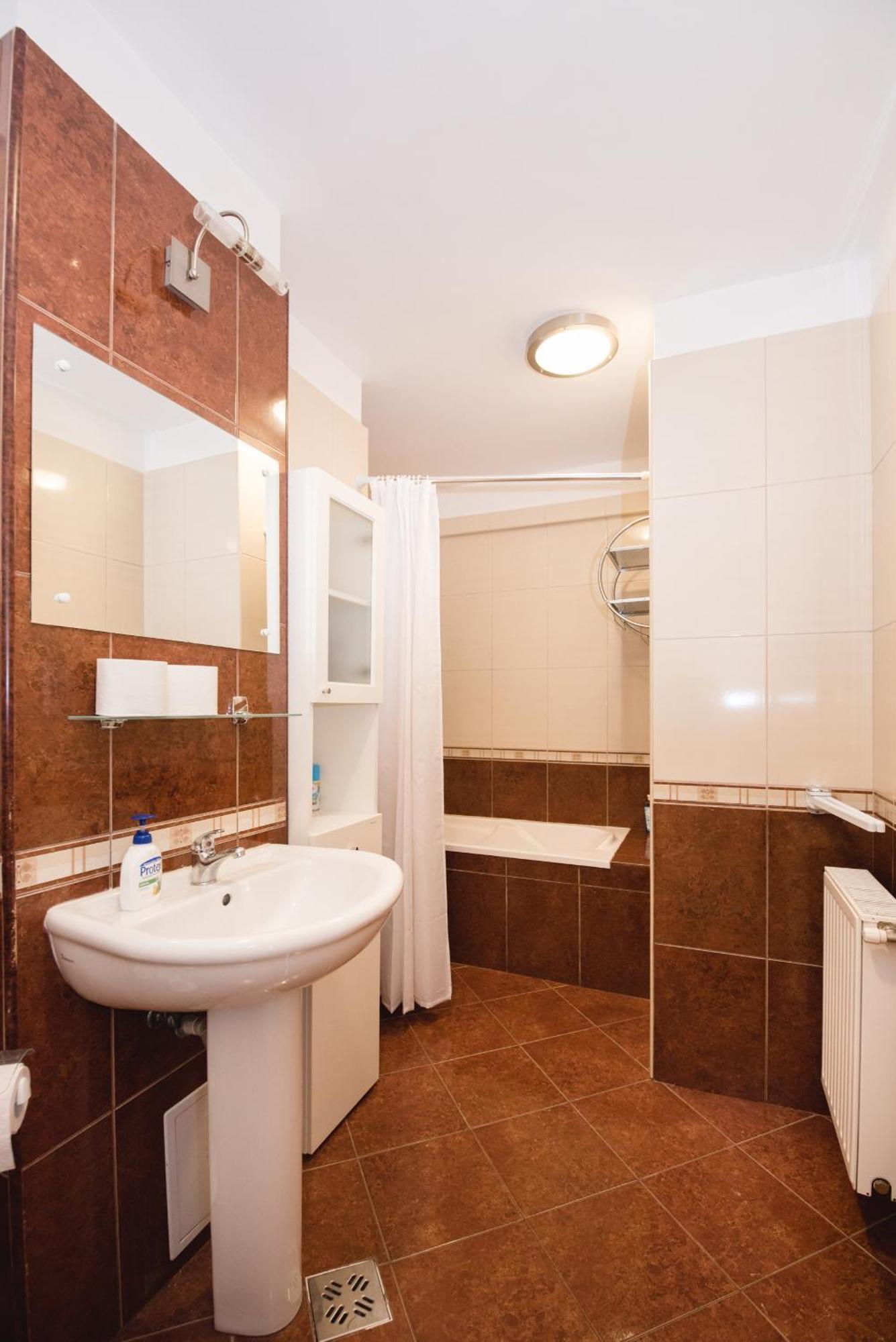 בראשוב Oltului Apartment מראה חיצוני תמונה